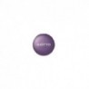 GIOTTO MAKE UP OMBRETTO ML.5 PORPORA