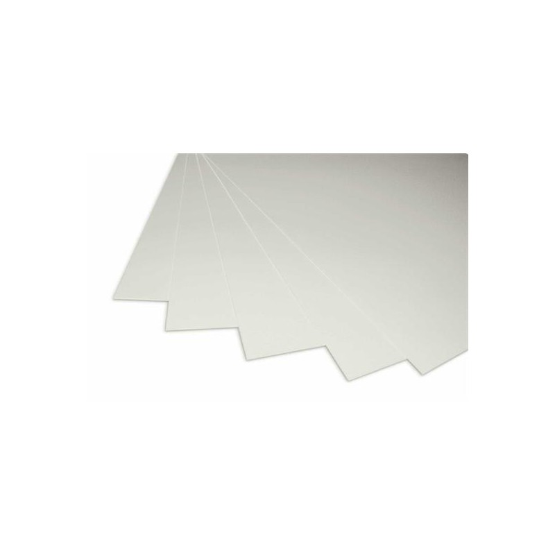 CART/PESANTE 50X70 FG.10 GR.380 BIA/GRIGIO