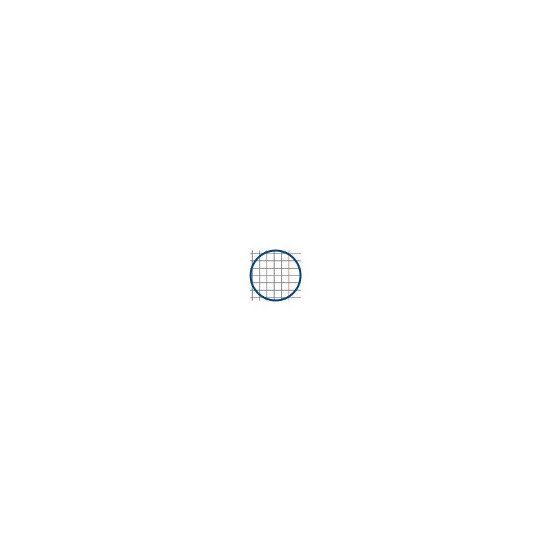 QUADERNO MAXI FG. 28 MM. 5 CON MARGINE Q