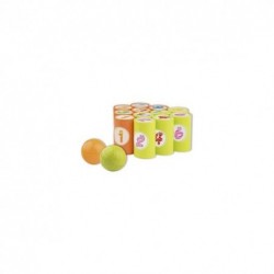 GIOCO BARATTOLI 12+2