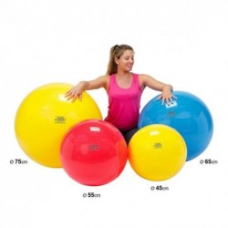 GYMNIC CLASSIC CM.65 BLU