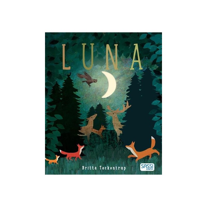 LIBRI ILLUSTRATI: LUNA
