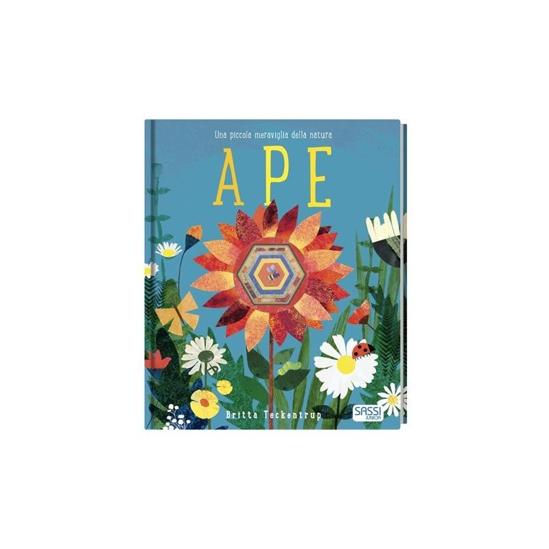 LIBRI ILLUSTRATI: APE