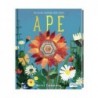 LIBRI ILLUSTRATI: APE