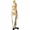 SCHELETRO CORPO UMANO CM. 85