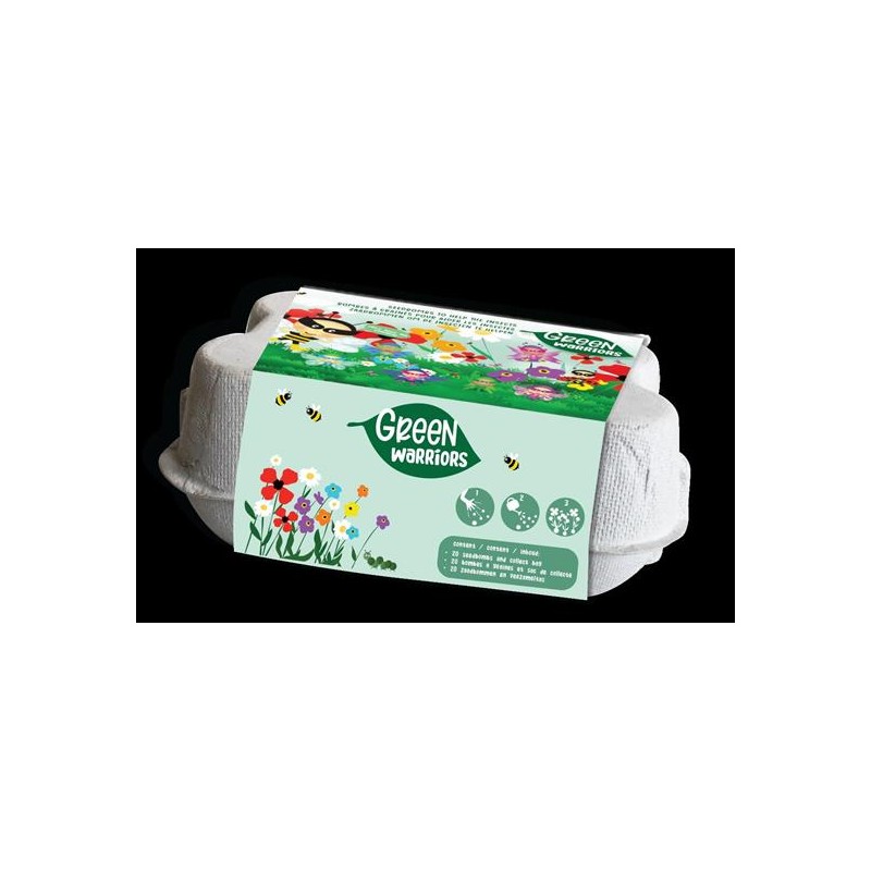 6 BOMBE DI SEMI FLOREALI