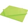 TAPPETO GIOCO E MOTRICITA' 120X80X5H VERDE CHIARO
