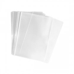 BUSTE PVC TRASP. A U 22X30...