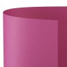 CARTONCINO BRISTOL 50x70 CICLAMINO - Conf 25 Fg