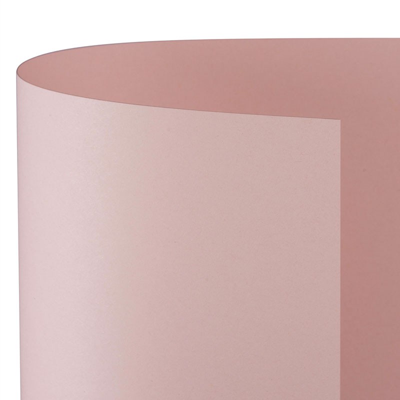 CARTONCINO BRISTOL 100x70 ROSA - Conf 10 Fg