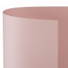 CARTONCINO BRISTOL 100x70 ROSA - Conf 10 Fg