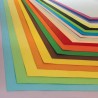 CARTONCINO BRISTOL 100x70 COLORATO Conf. 20 Colori Diversi