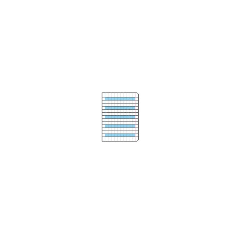 QUADERNO MAXI DIDATTICO GR. 100 RIGATURA MM.5 DOPPIO SPAZIO