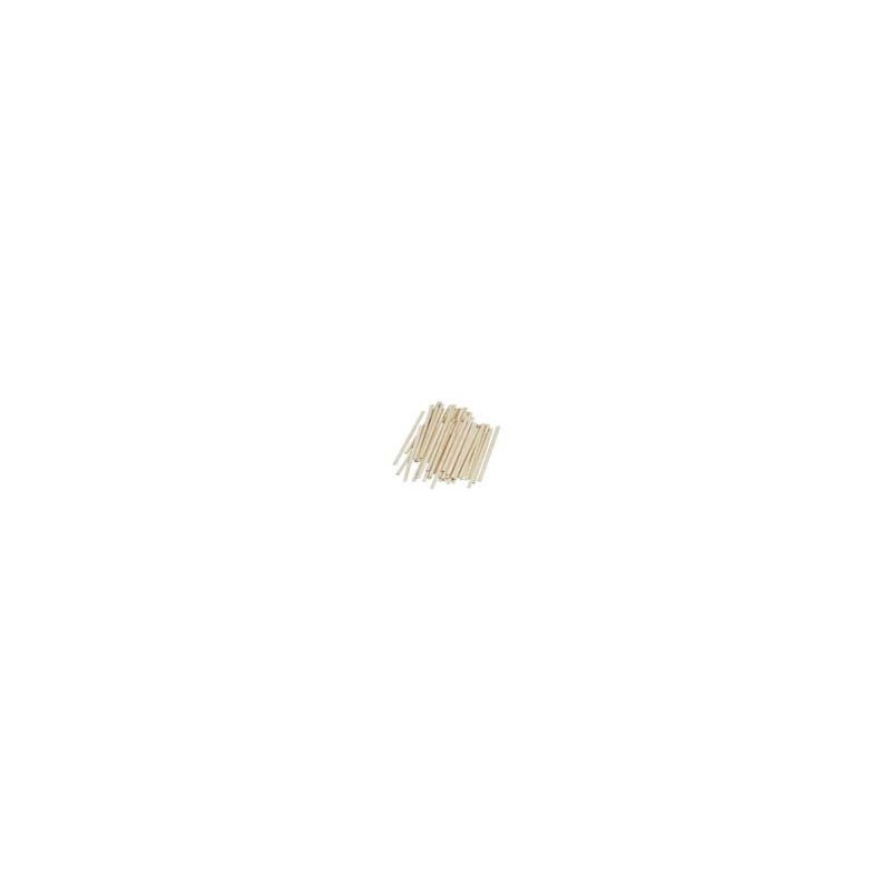 LEGNO DA DECORARE BASTONCINI NEUTRI Ø MM.4X100 PZ. 60